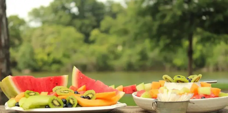 Photograph of watermelon and fruit salad arranged on a table with a green backyard scene in the background.