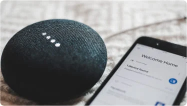 Google voice smart home device