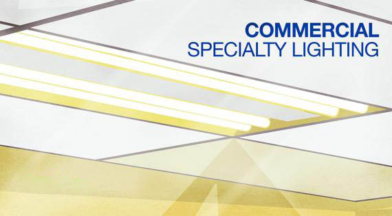 Commercial Specialty Lighting