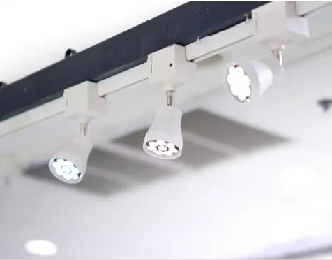 Track & accent lighting