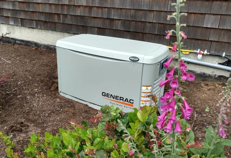 Generac Generator with flowers.
