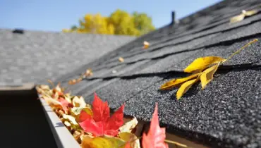 Roof with leaves in gutter.