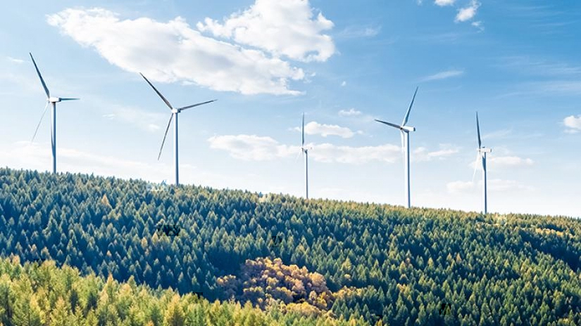 Interested in offsetting traditional energy sources with renewable resources for your business? Learn more about investing in a wind turbine for the office.