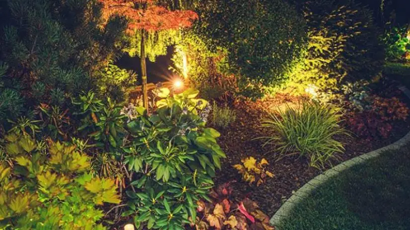 Landscape lighting can turn a drab yard into a modern garden at night. Is it the right option for you? Learn more from the experts at Mr. Electric.