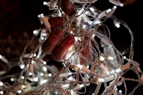 Hands gripping tangled Christmas lights.